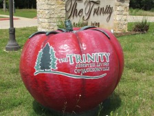 Trinity Assisted Living