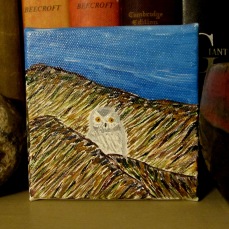 paint owl